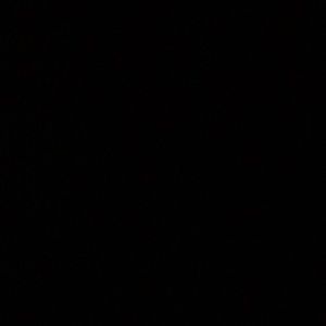 Meet your Posher, Sheyla